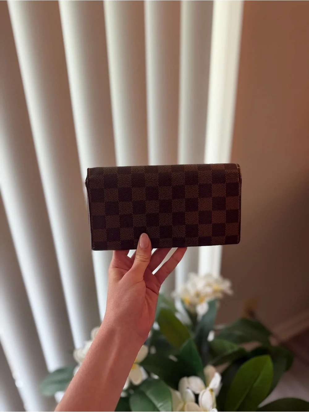 Louis Vuitton Epene Damier Women's Wallet Clutch